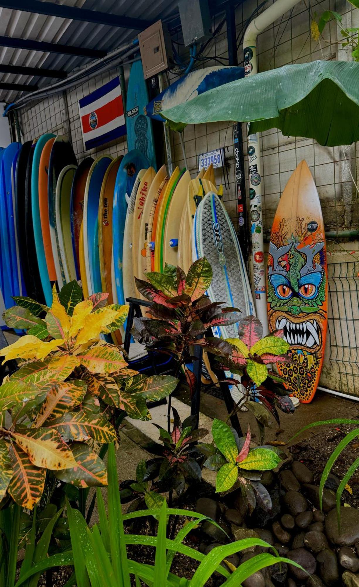 El Chante Surf House Playa Santa Teresa  Exterior foto